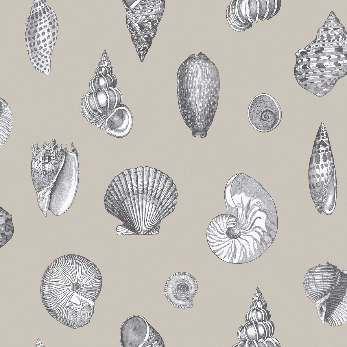 Tapet Celine Shells Beige 3808-29