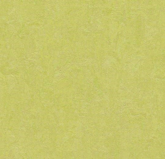 Linoleumgolv Marmoleum Click 333885 Spring Spring Buds Grå, 30x30cm