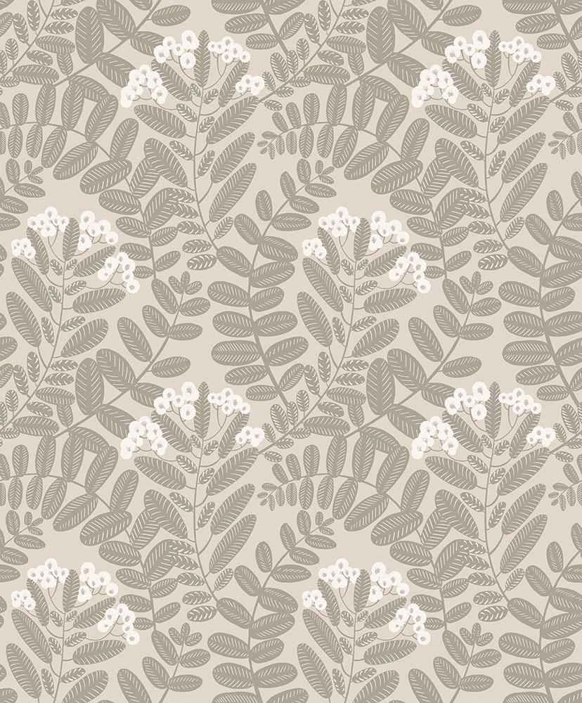 Tapet Aquila Bodie Ysa001