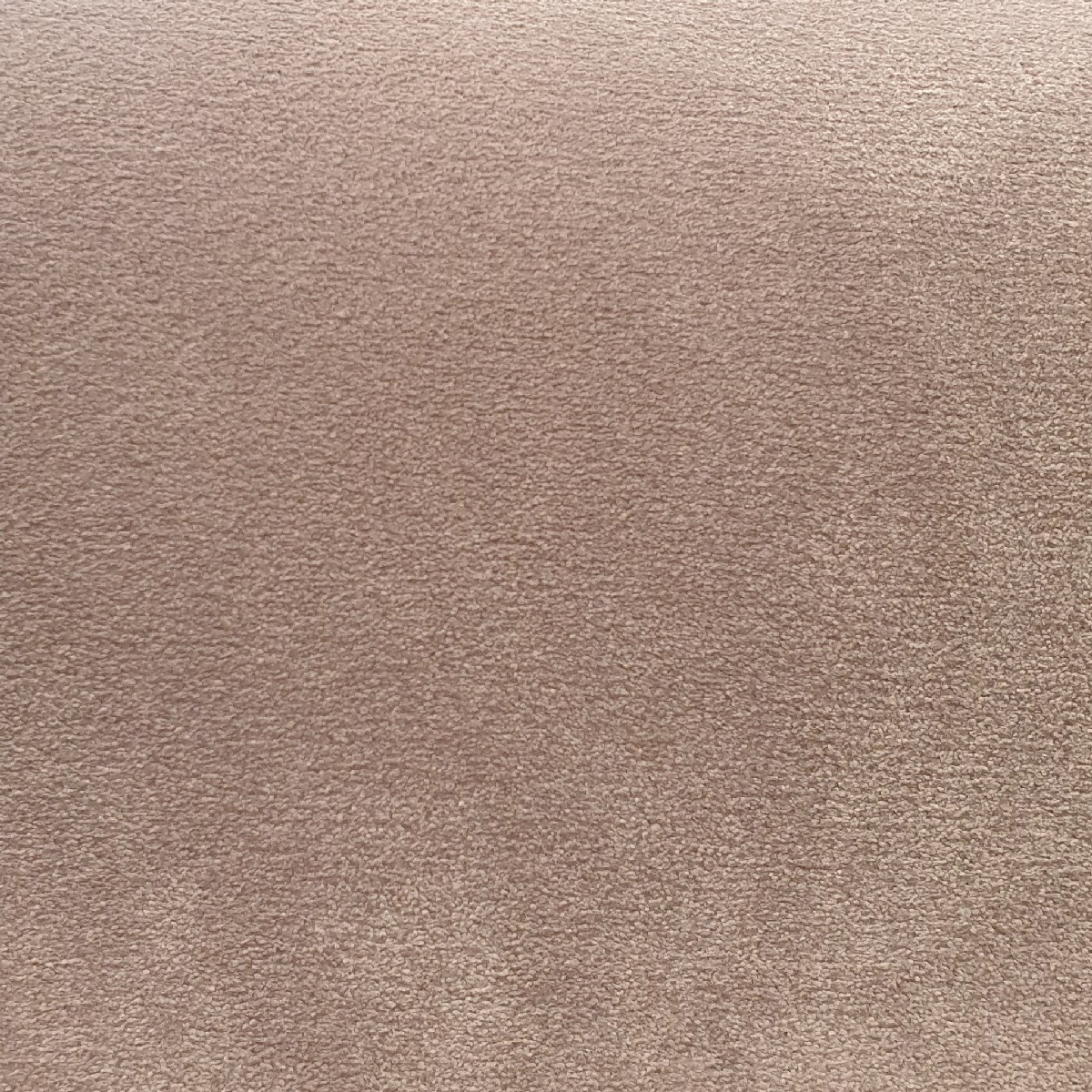 Heltäckningsmatta Pleasure Rum 180 400cm