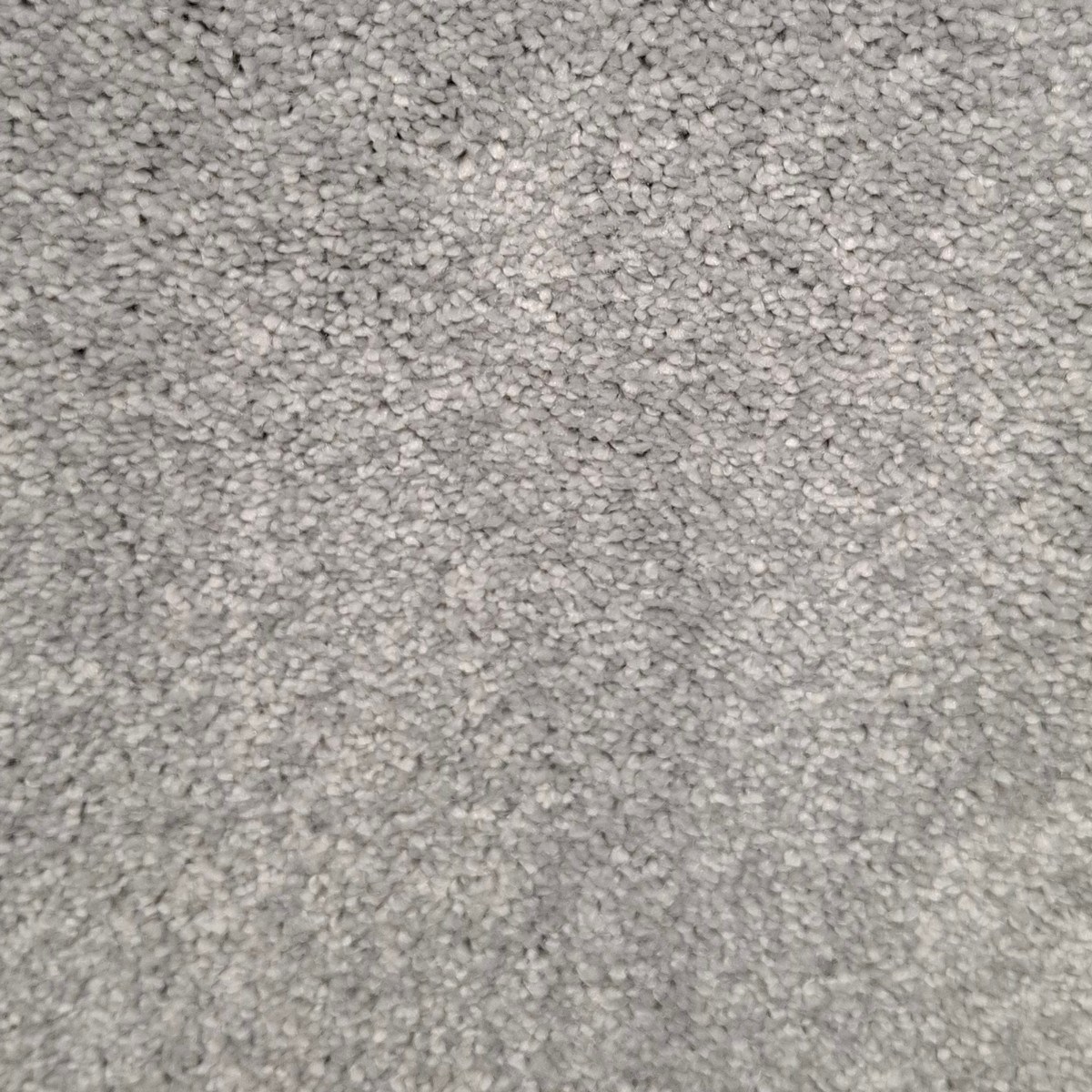 Heltäckningsmatta Devotion 71 400cm