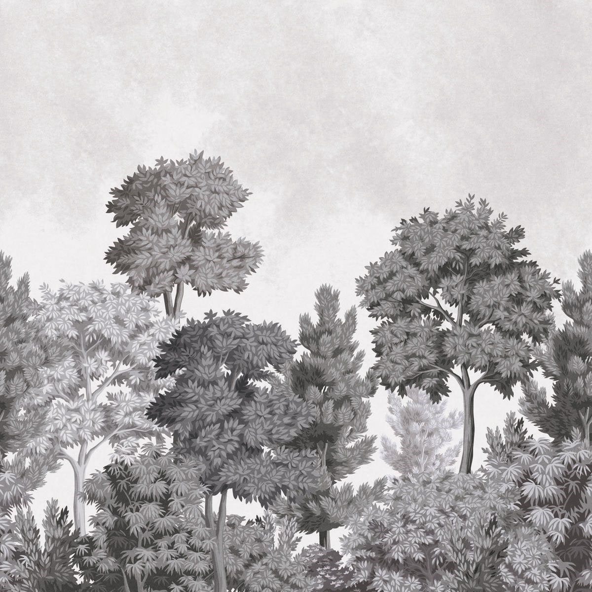 Fototapet Ashdown Delamere Mural Mn50945