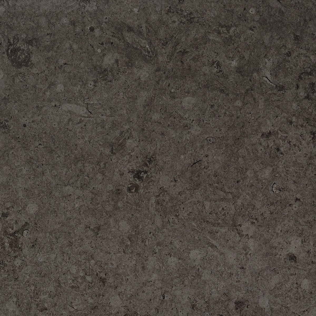 Klinker Granitkeramik Runö Dark Grey J66 Grå, 59.5x59,5cm