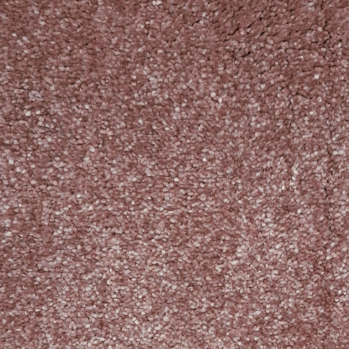 Heltäckningsmatta Ignis 60 400cm