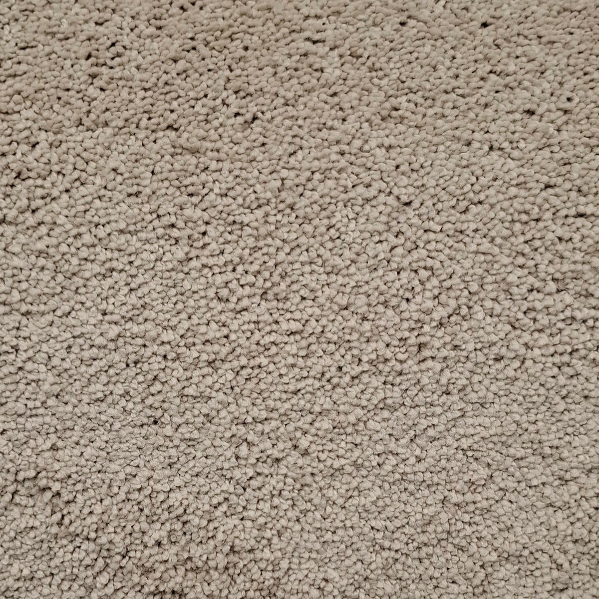 Heltäckningsmatta Excellence 61 400cm, Vit