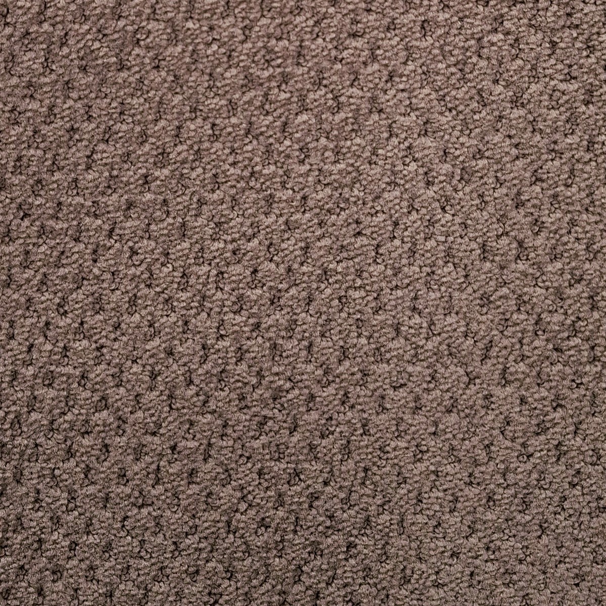 Heltäckningsmatta Carve Classic Cornstalk 400cm