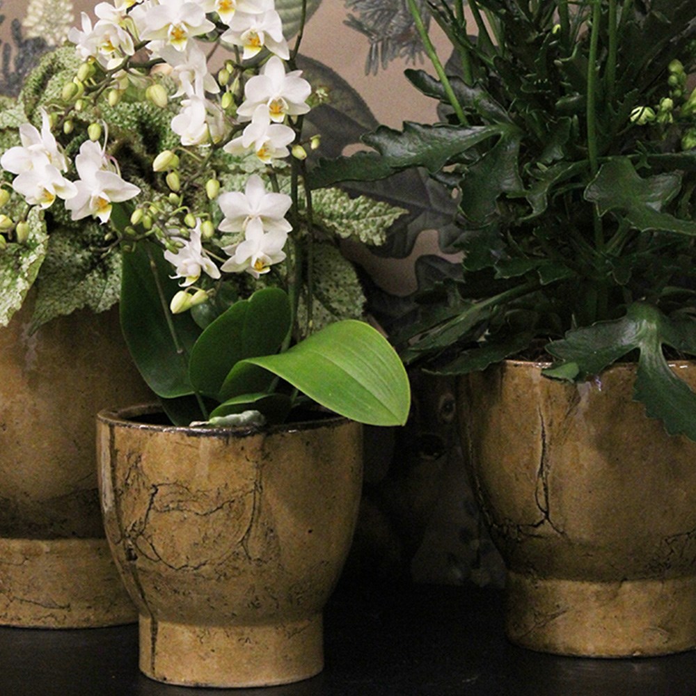 Kruka Alma Brown, 17x16cm