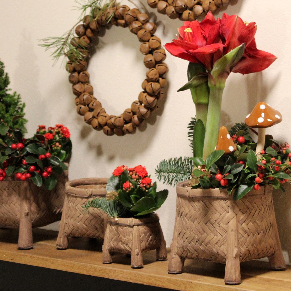 Kruka Beda 12x11cm Brown