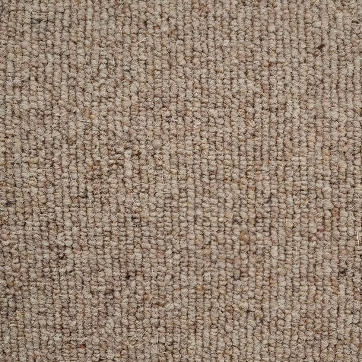 Heltäckningsmatta Blenheim 274 400cm