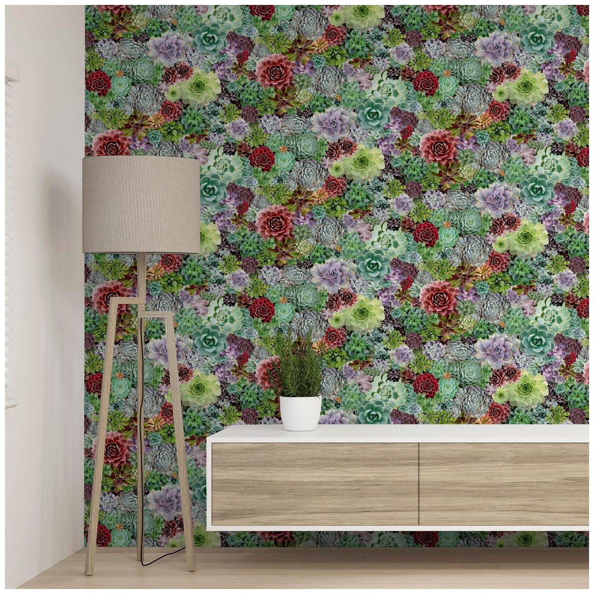 Tapet Fantasia III Succulent Living Wall Multi 259402