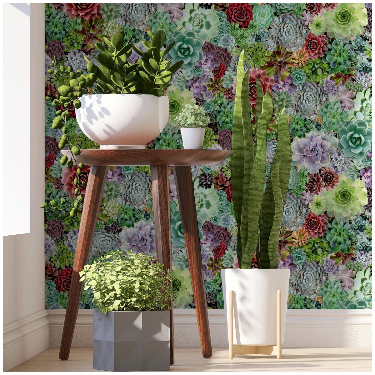 Tapet Fantasia III Succulent Living Wall Multi 259402