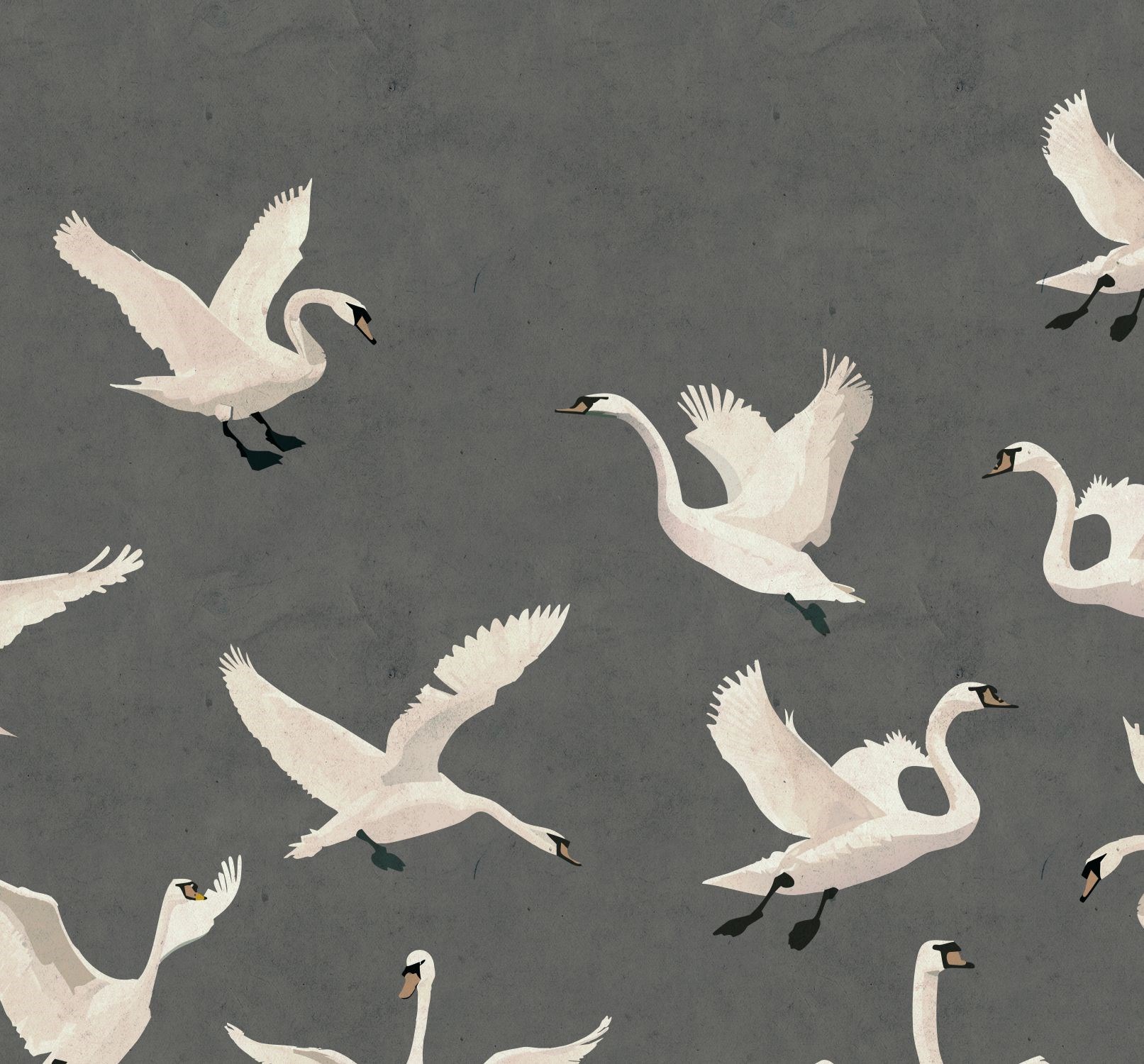 Fototapet Svanar 159570