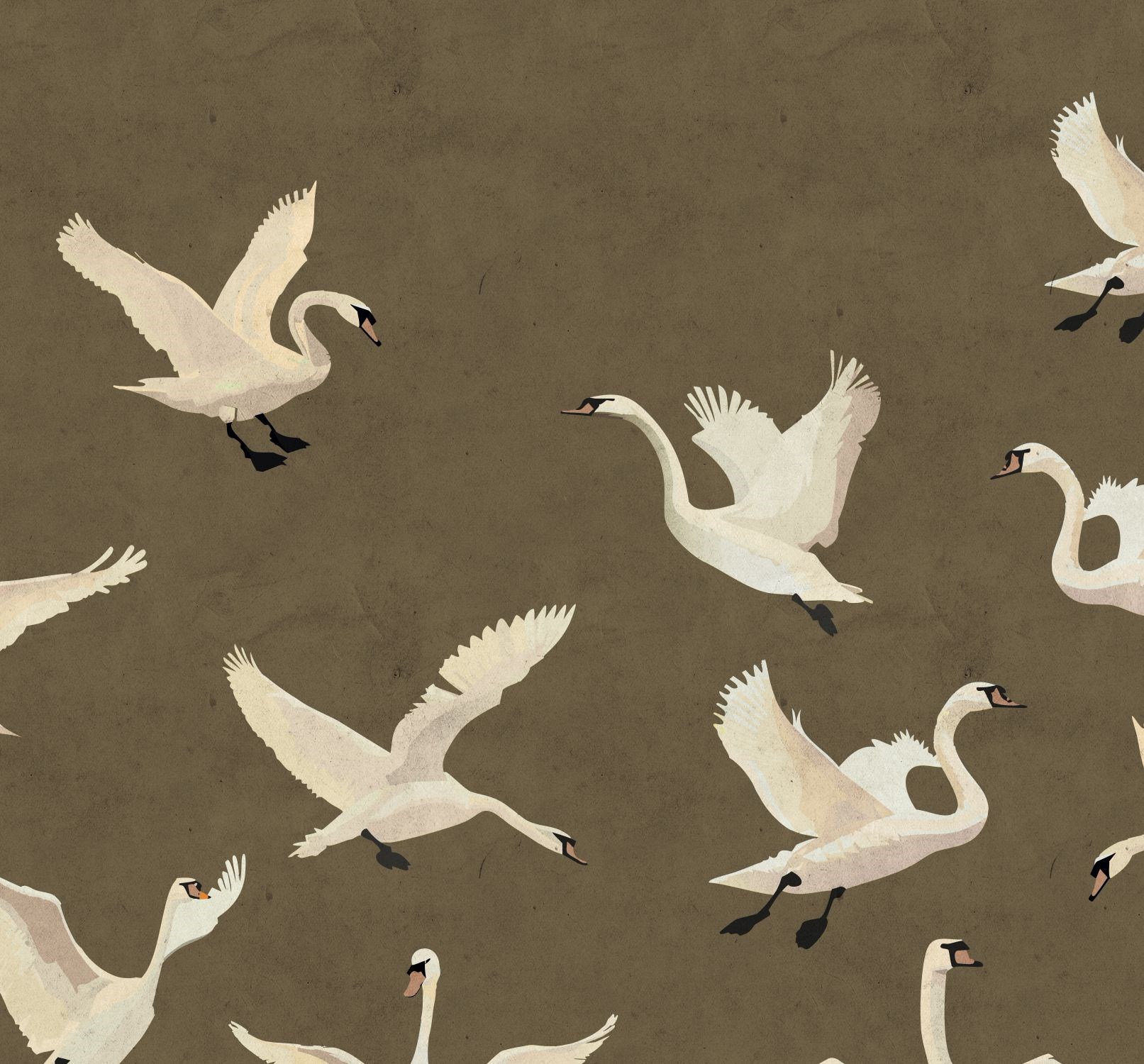 Fototapet Svanar 159572