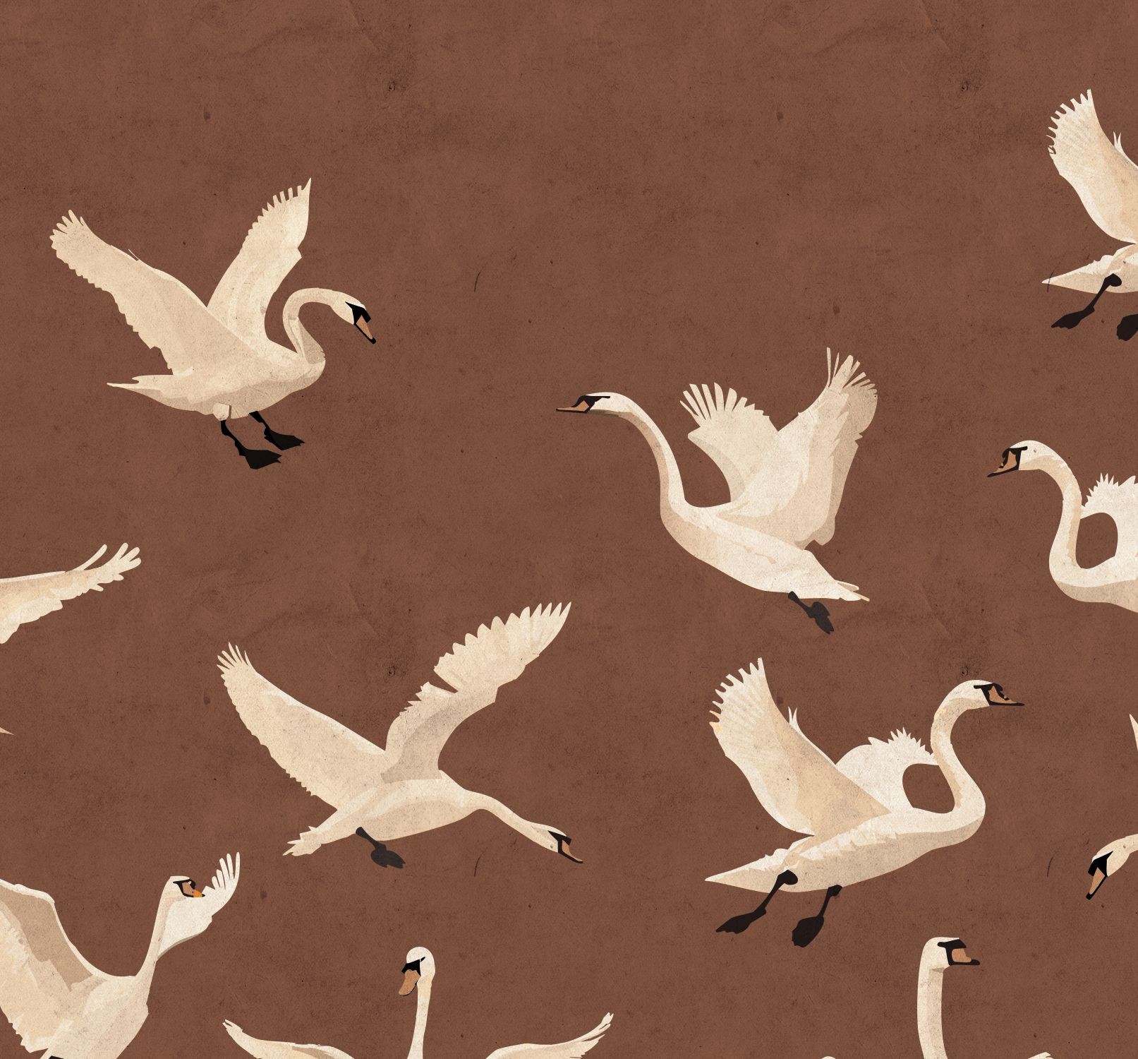 Fototapet Svanar 159574