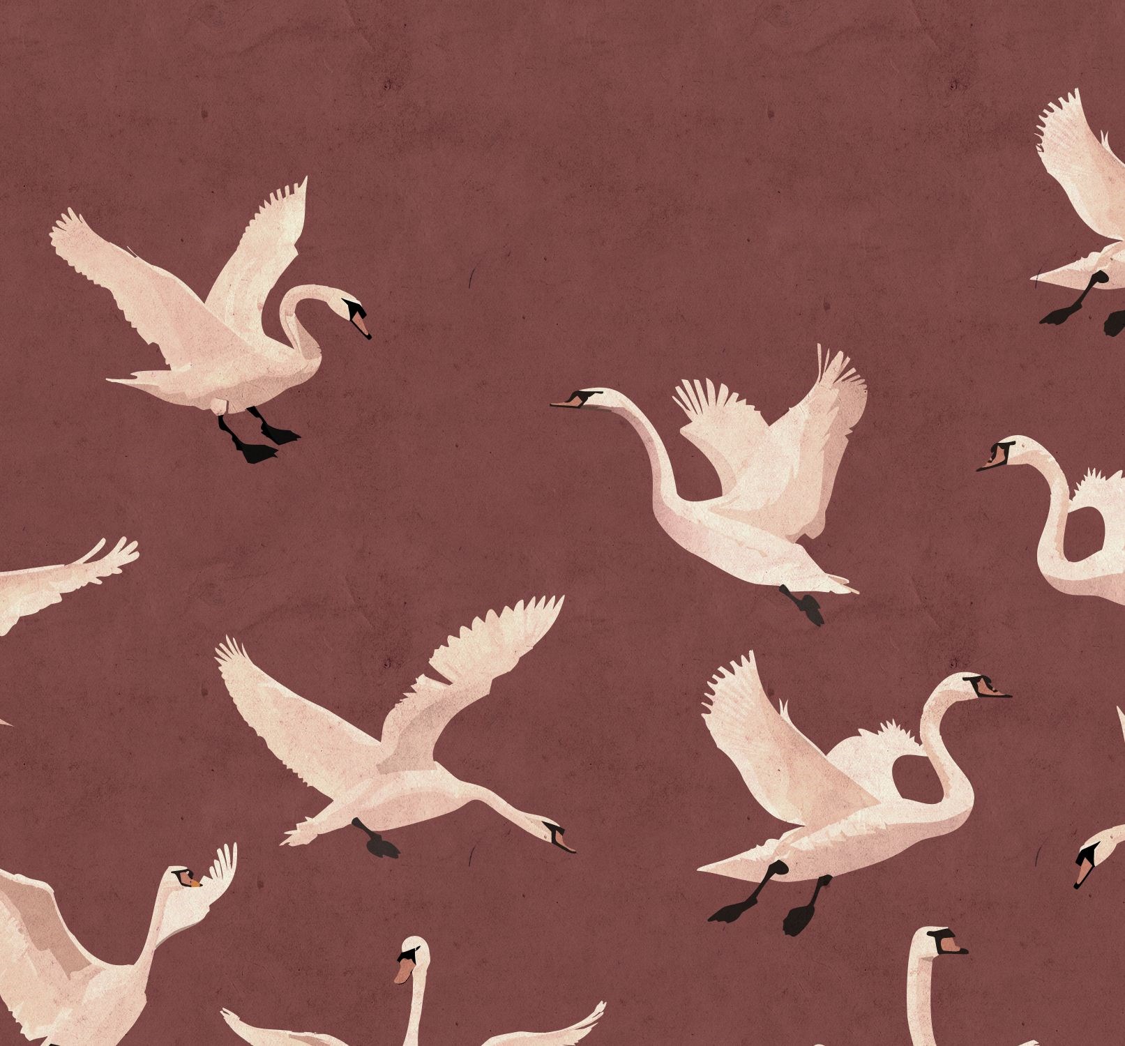 Fototapet Svanar 159576