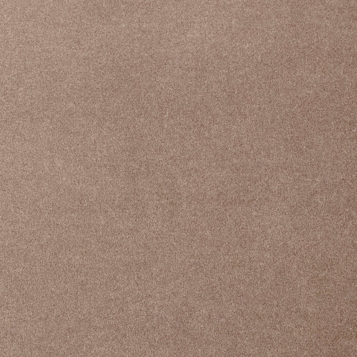 Heltäckningsmatta Classic Life Feeling 49 500cm, Beige