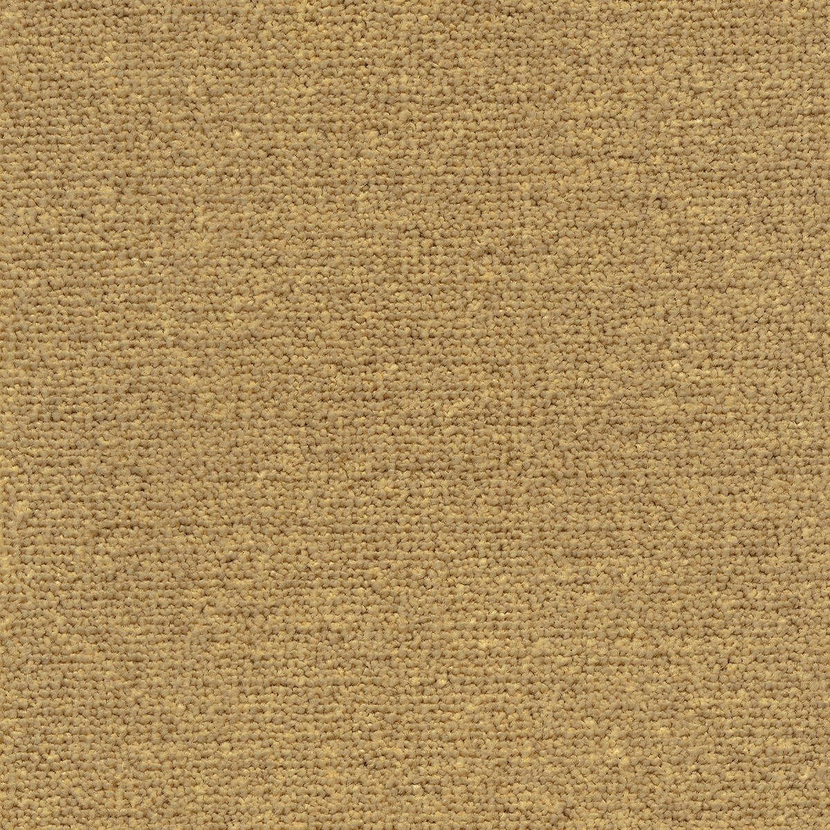 Heltäckningsmatta World Life Triumph 54 500cm, Beige