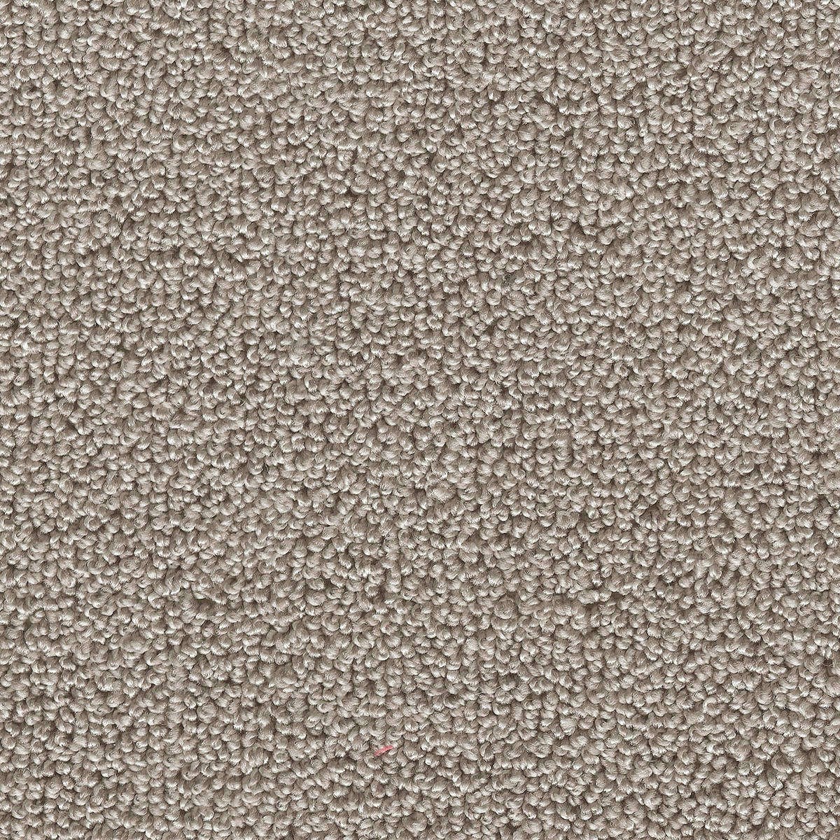 Heltäckningsmatta Simple Life Pride 93 500cm, Beige