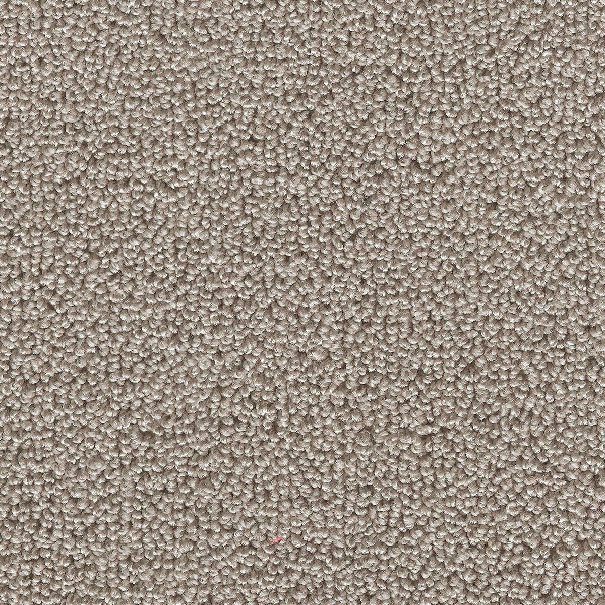 Heltäckningsmatta Simple Life Pride 93 400cm, Beige