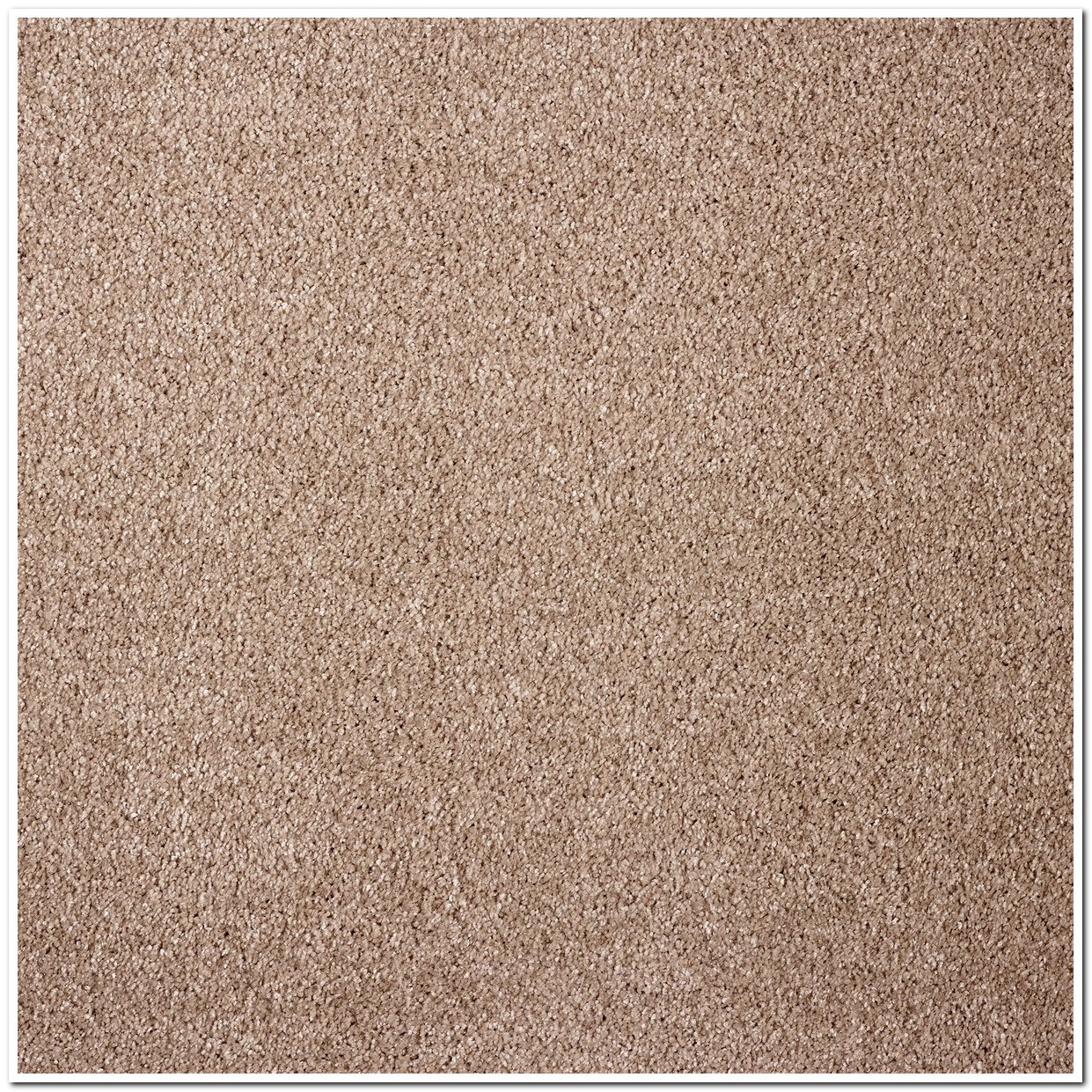 Heltäckningsmatta Sedna Ocean 34 500cm, Brun