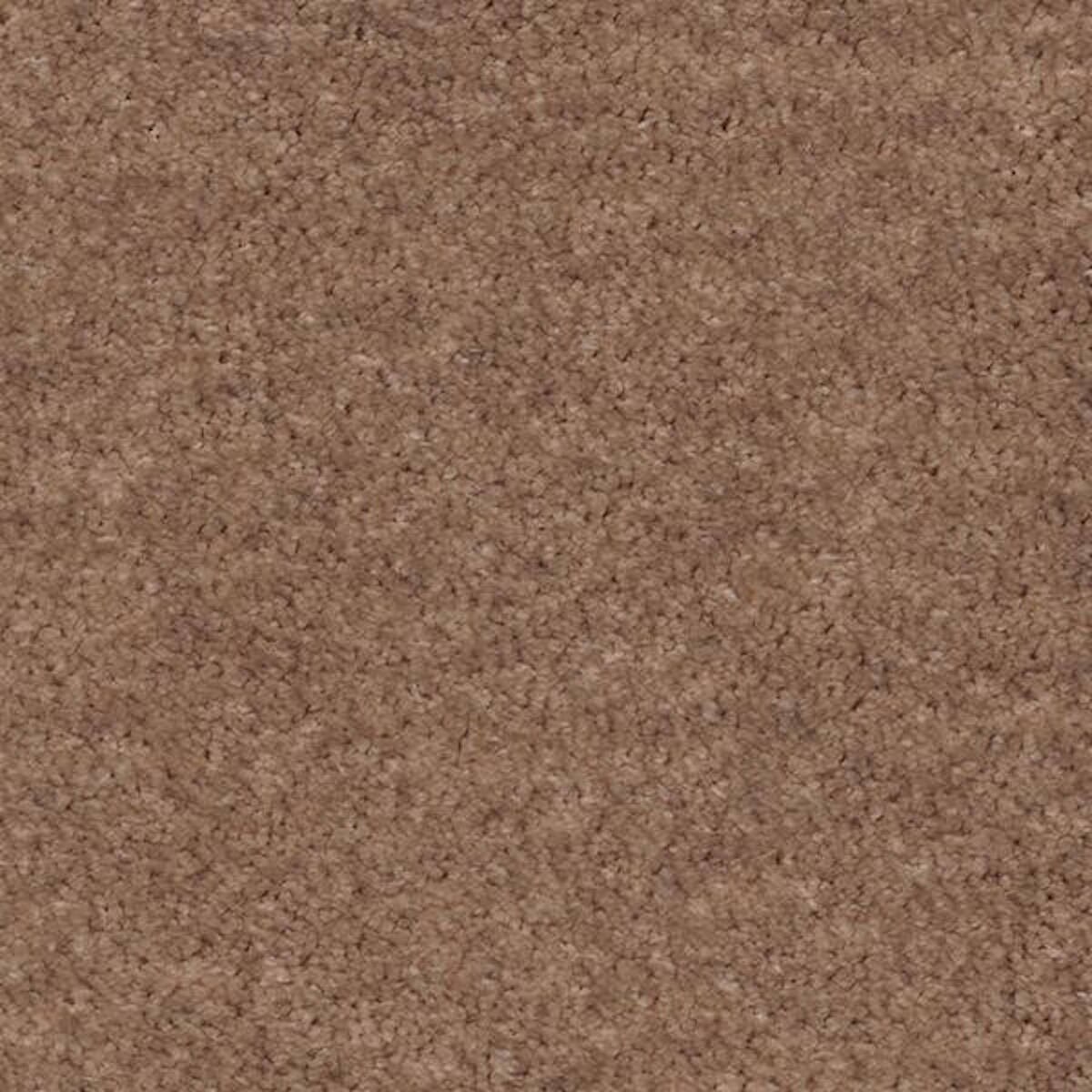 Heltäckningsmatta Sensualité Obsession 36 400cm, Brun