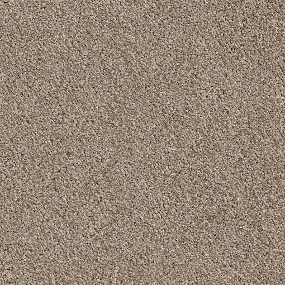 Heltäckningsmatta Simple Life Ambience 37 500cm, Brun