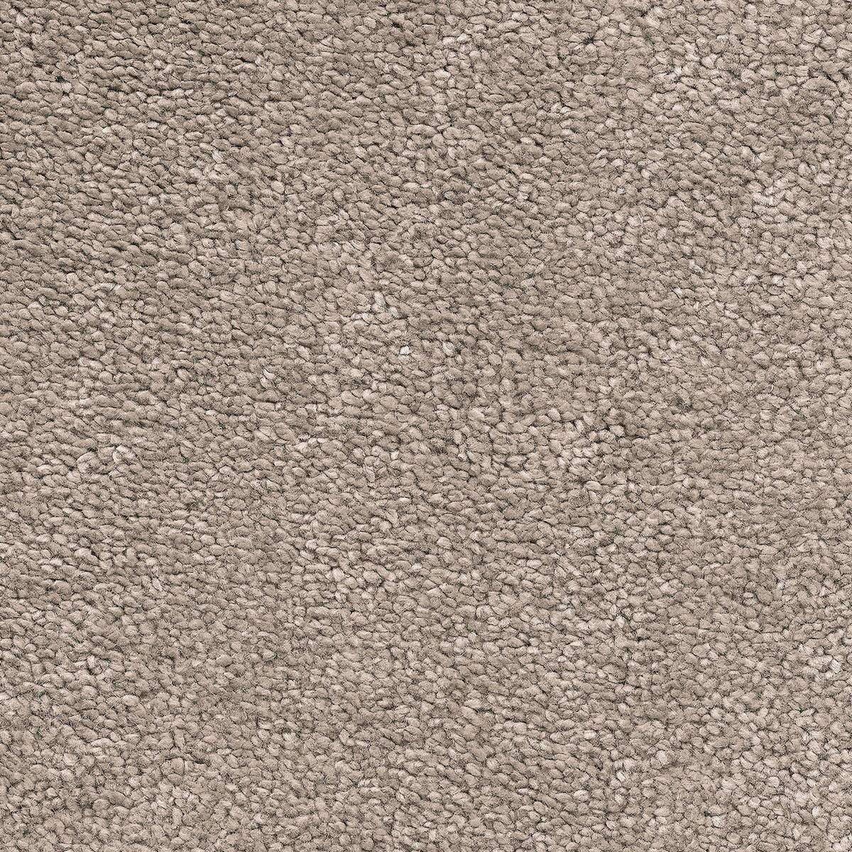 Heltäckningsmatta Invictus Magnificus 37 400cm, Brun