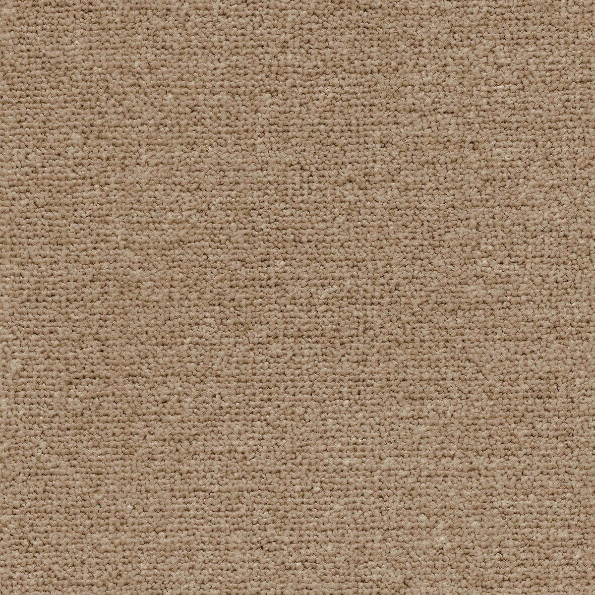 Heltäckningsmatta Simple Life Triumph 37 500cm, Brun