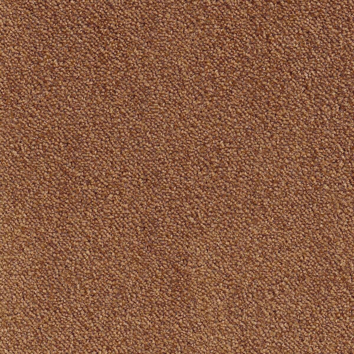 Heltäckningsmatta World Life Ambience 38 500cm, Brun