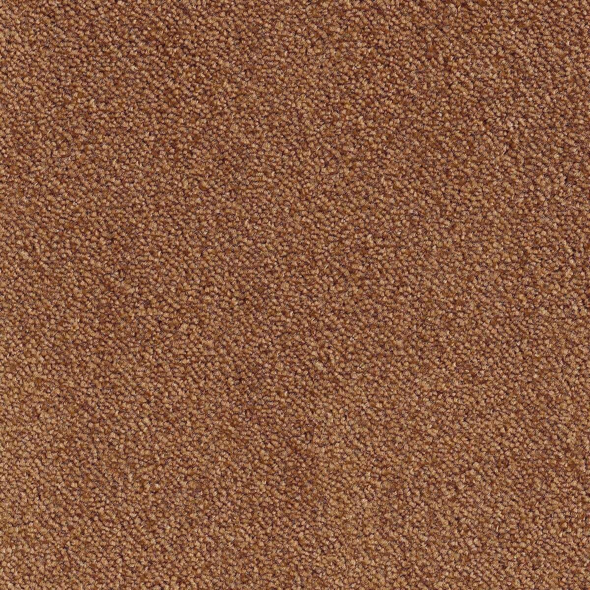 Heltäckningsmatta World Life Ambience 38 400cm, Brun