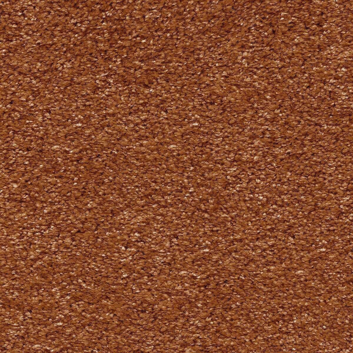 Heltäckningsmatta World Life Touch 38 500cm, Brun