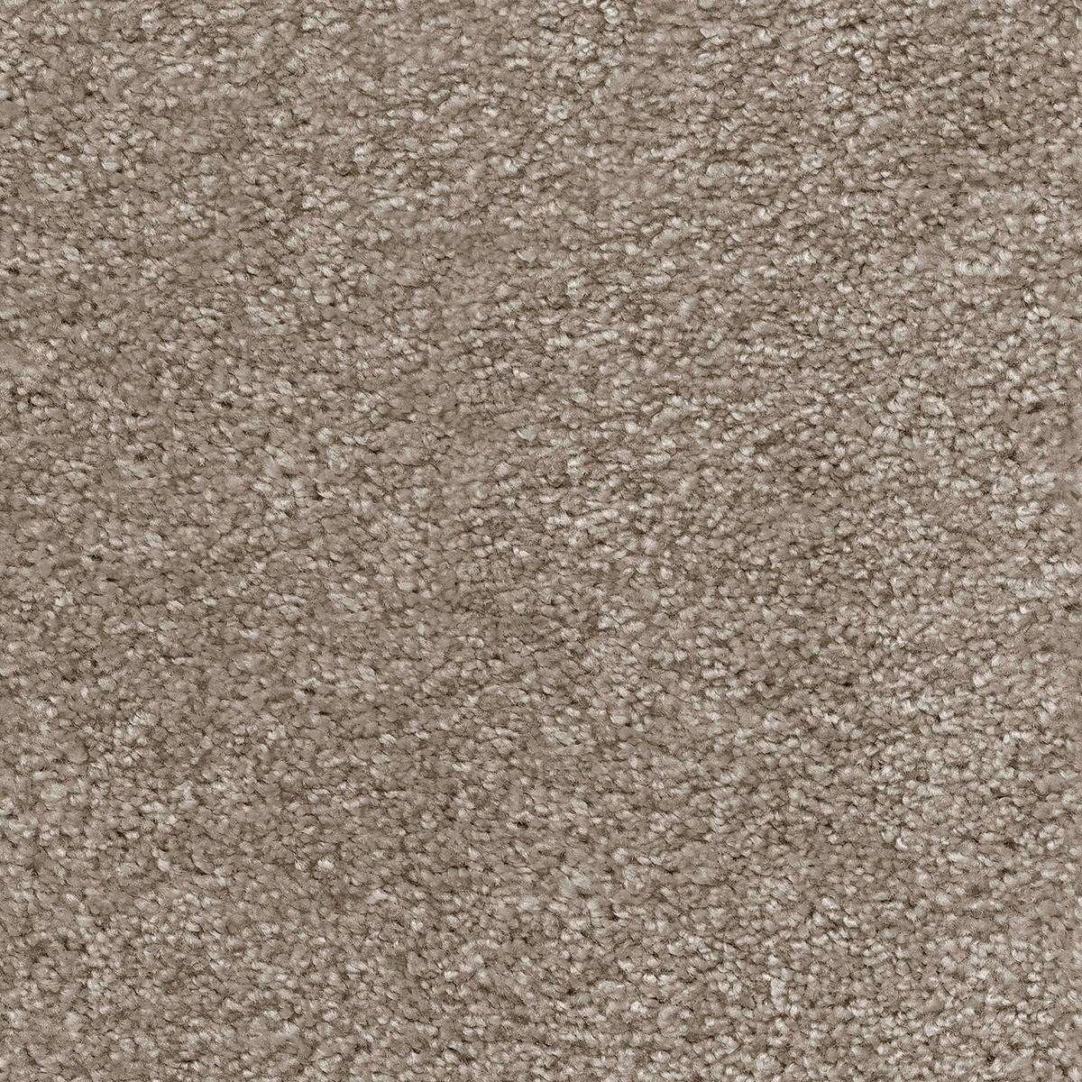 Heltäckningsmatta Simple Life Moments 40 500cm, Brun