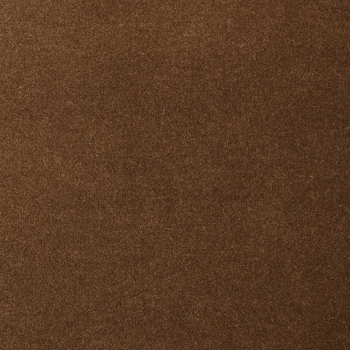 Heltäckningsmatta Classic Life Feeling 44 500cm, Brun