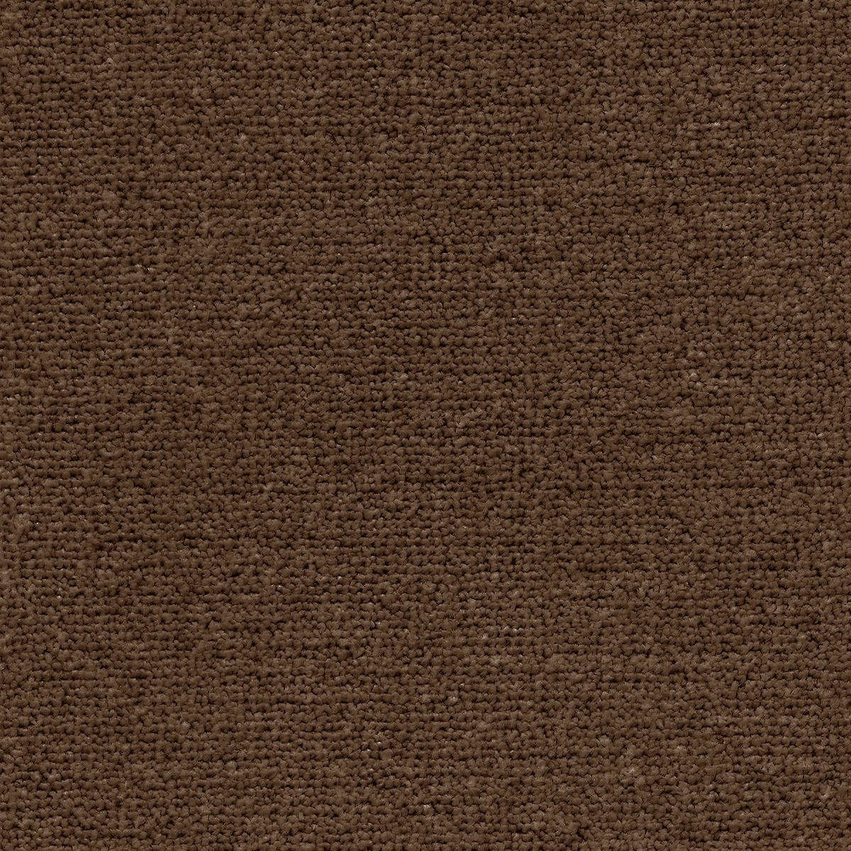 Heltäckningsmatta Classic Life Triumph 44 500cm, Brun