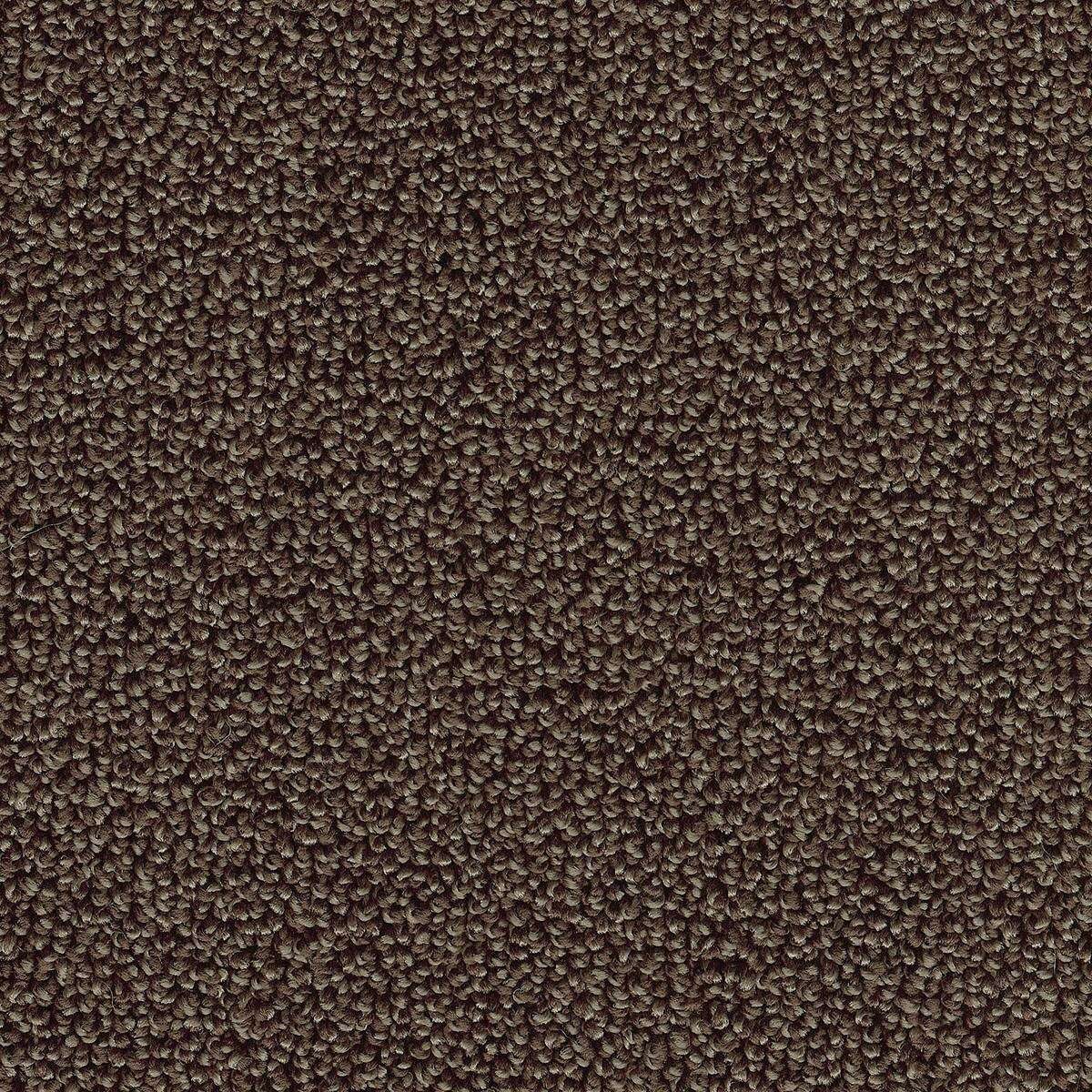 Heltäckningsmatta Classic Life Pride 45 500cm, Brun