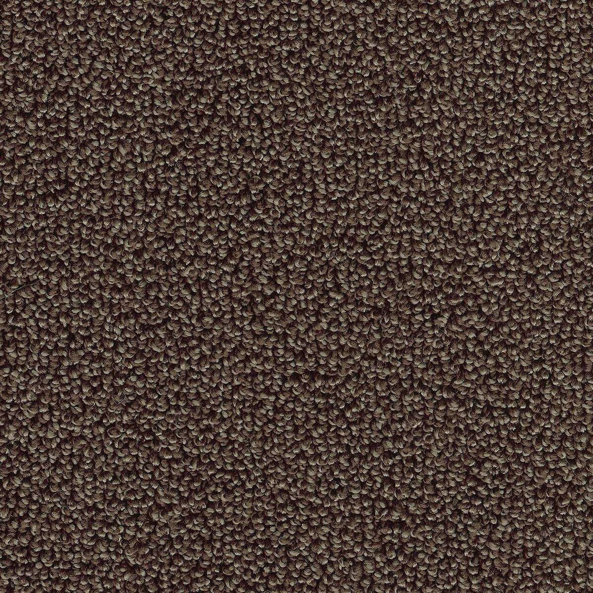 Heltäckningsmatta Classic Life Pride 45 400cm, Brun