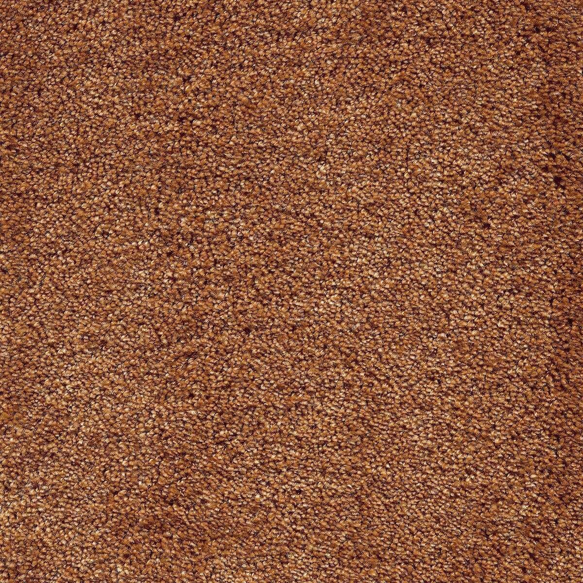 Heltäckningsmatta World Life Lounge 48 500cm, Brun