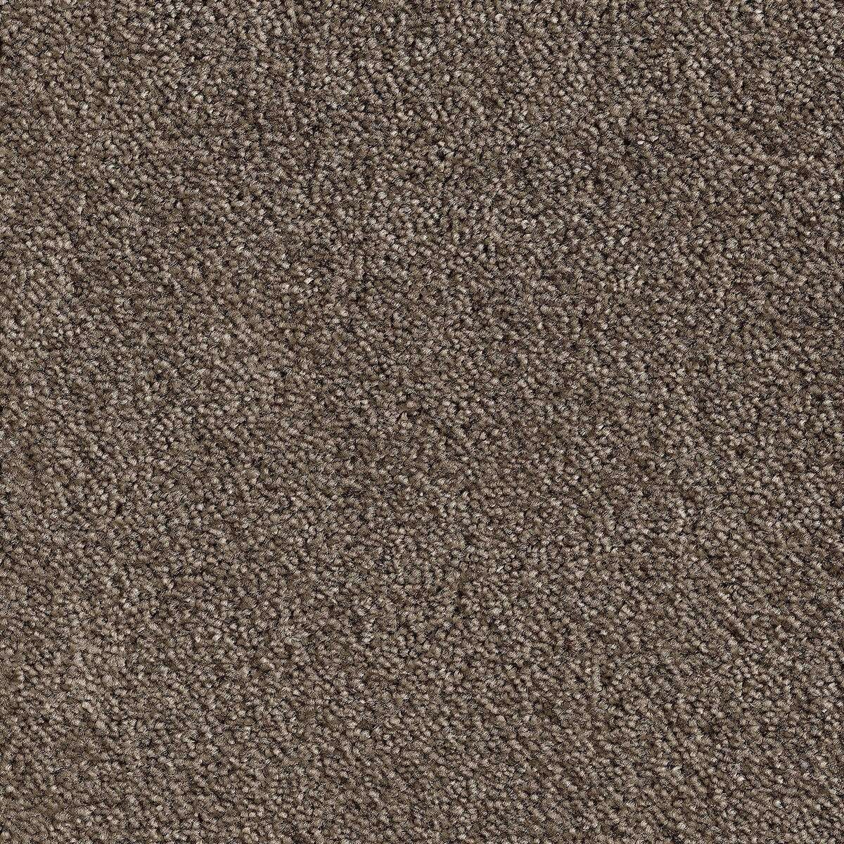 Heltäckningsmatta Simple Life Ambience 49 500cm, Brun