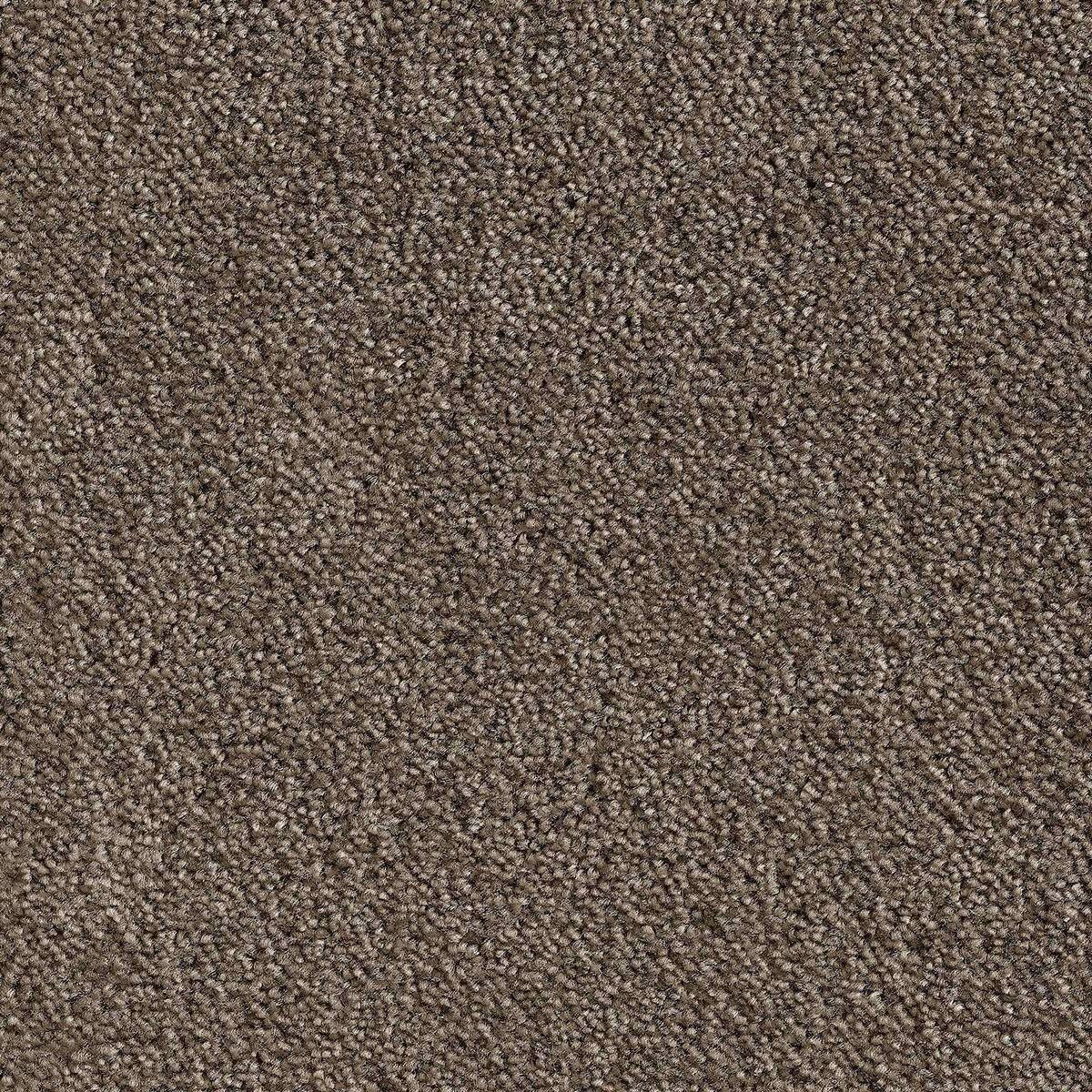 Heltäckningsmatta Simple Life Ambience 49 400cm, Brun