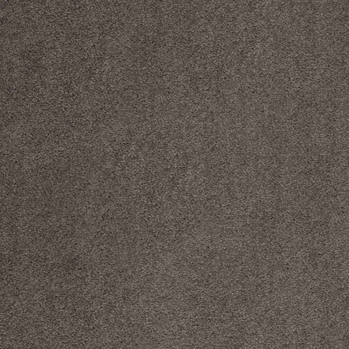 Heltäckningsmatta Sedna Kai 49 500cm, Brun