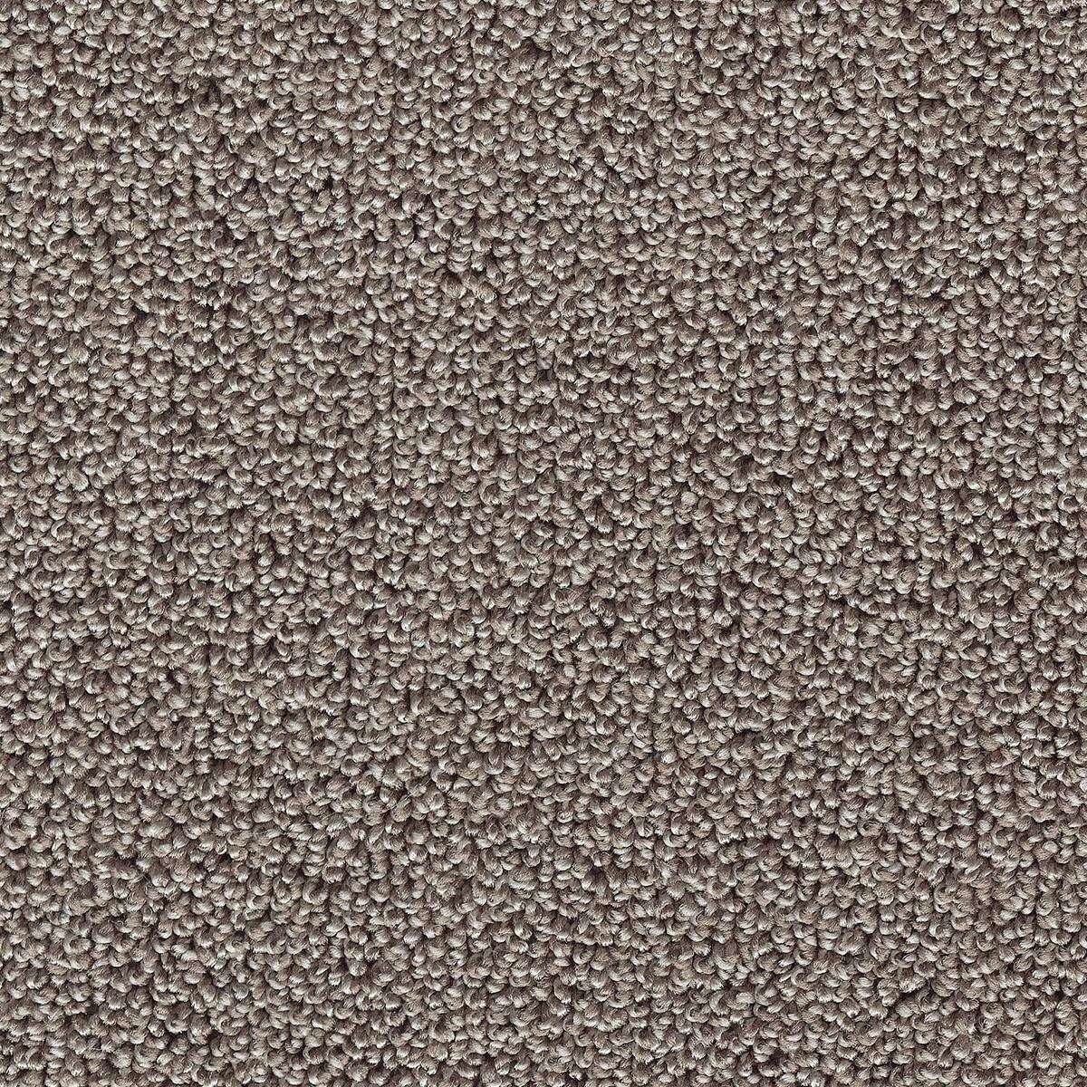 Heltäckningsmatta Simple Life Pride 49 500cm, Brun