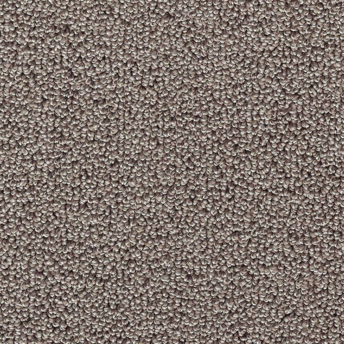 Heltäckningsmatta Simple Life Pride 49 400cm, Brun