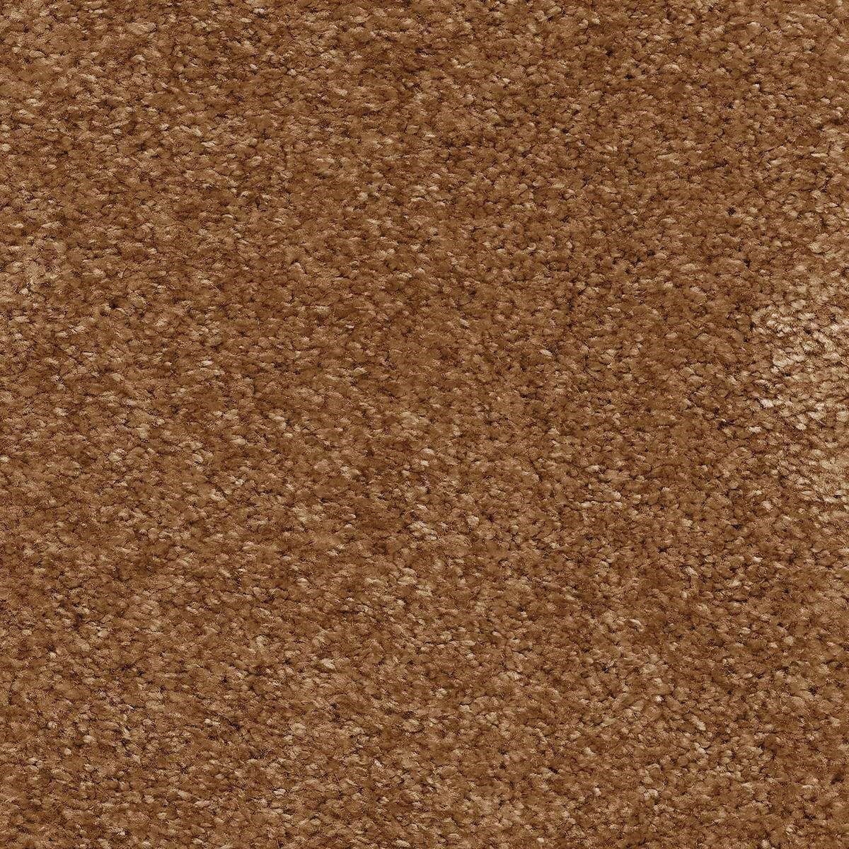 Heltäckningsmatta World Life Moments 80 500cm, Brun