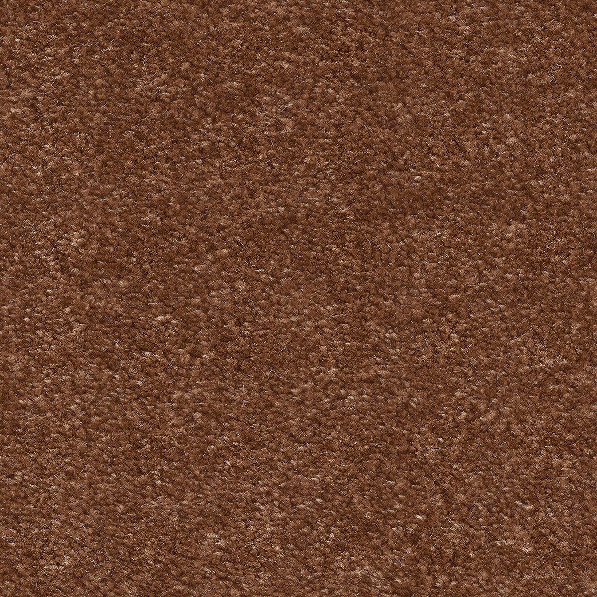 Heltäckningsmatta World Life Memories 84 500cm, Brun