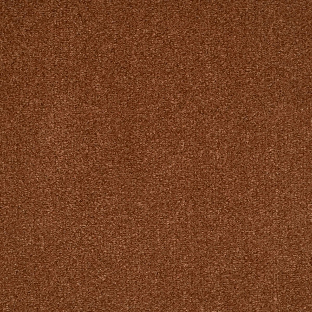 Heltäckningsmatta World Life Zen 84 500cm, Brun