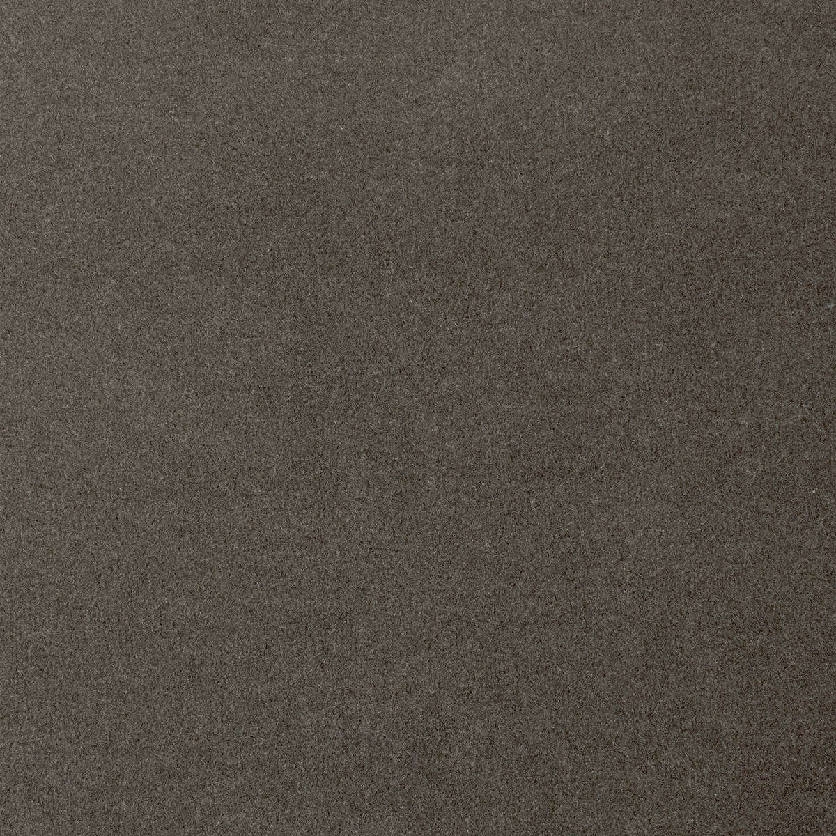 Heltäckningsmatta City Life Feeling 97 500cm, Grå