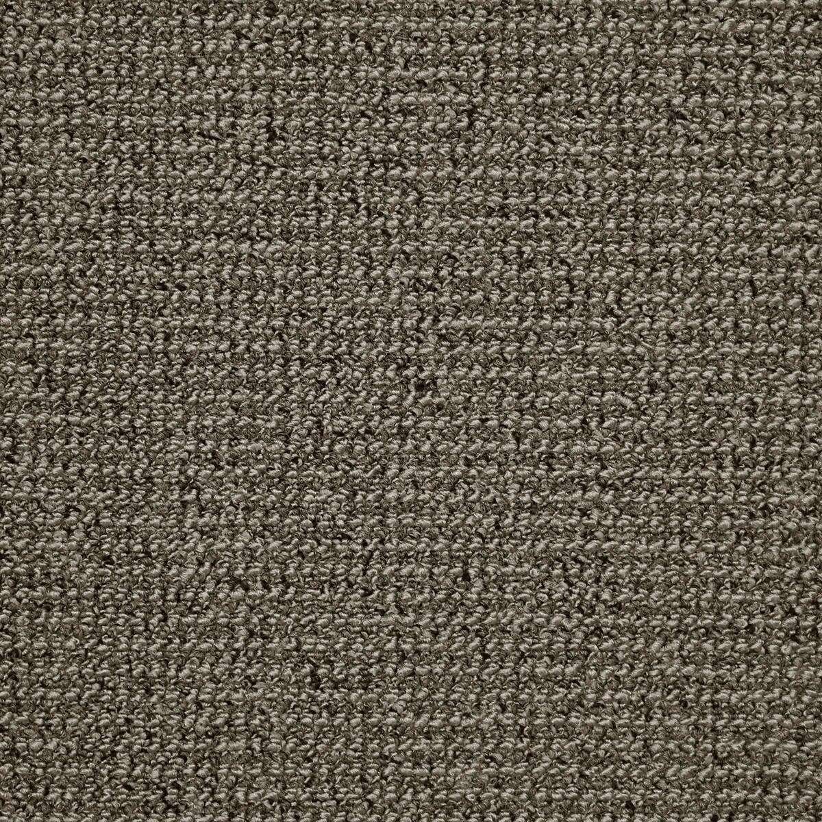 Heltäckningsmatta Simple Life Fame 39 500cm, Brun