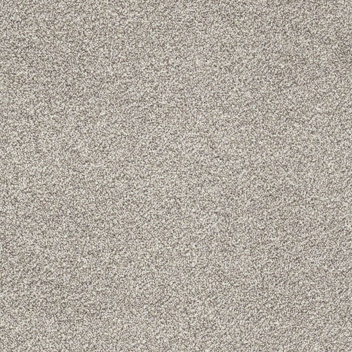 Heltäckningsmatta Simple Life Glory 39 500cm, Grå