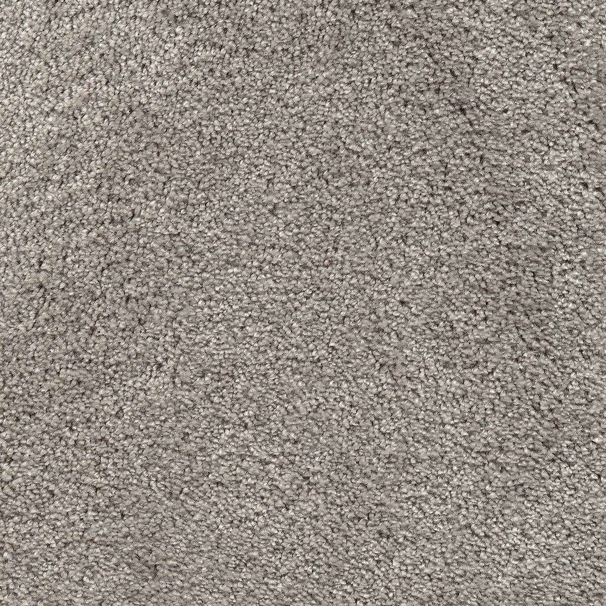 Heltäckningsmatta Simple Life Lounge 49 500cm, Grå