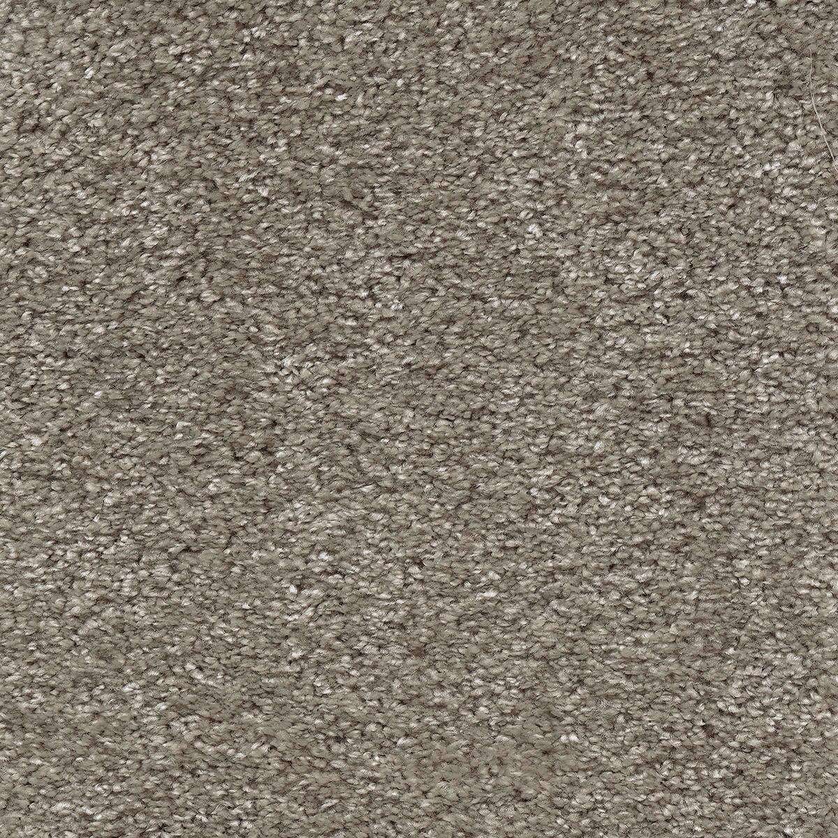 Heltäckningsmatta Simple Life Touch 49 500cm, Brun